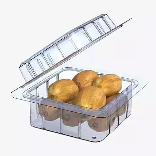 Kiwi Fruit Box Plastic Transparent Low-poly 3D model 6