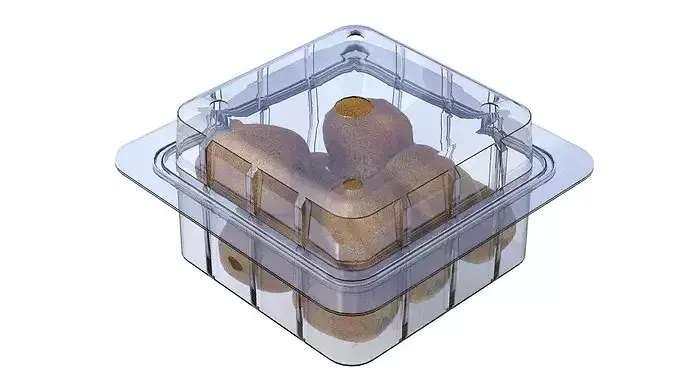 Kiwi Fruit Box Plastic Transparent Low-poly 3D model 3