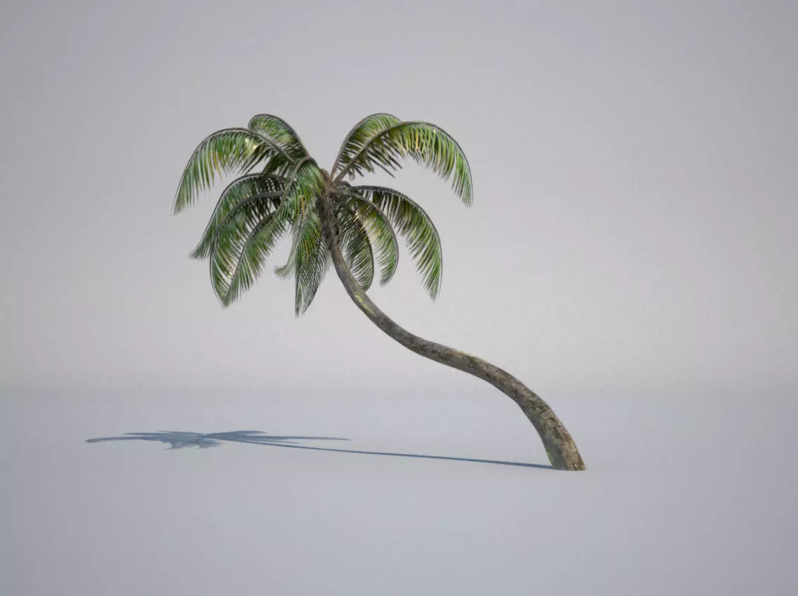 3d model palm tree Low-poly 3D model_0