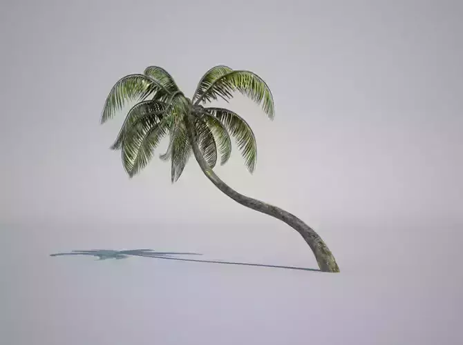 3d model palm tree Low-poly 3D model
