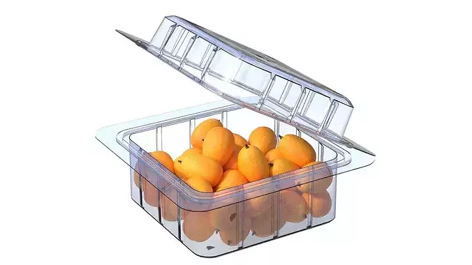 Kumquat Fruit Box Plastic Transparent Low-poly 3D model 2