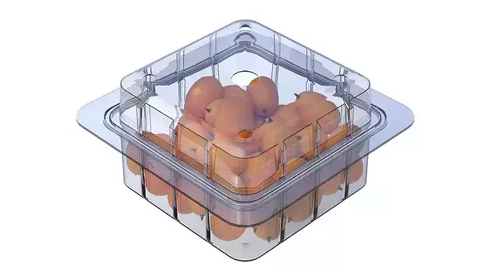 Kumquat Fruit Box Plastic Transparent Low-poly 3D model 3