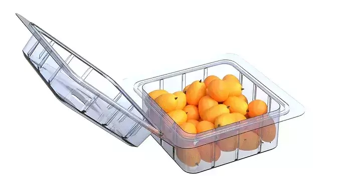Kumquat Fruit Box Plastic Transparent Low-poly 3D model 5