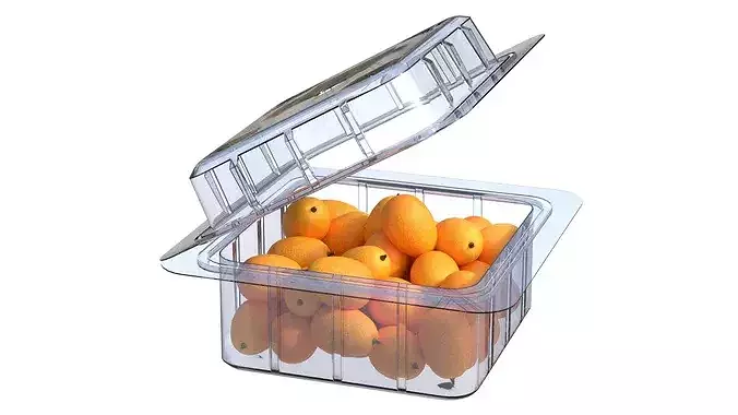 Kumquat Fruit Box Plastic Transparent Low-poly 3D model