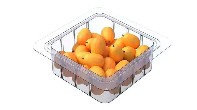Kumquat Fruit Box Plastic Transparent Low-poly 3D model 4