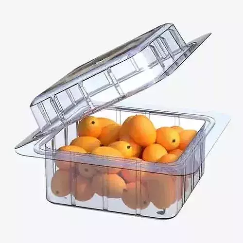 Kumquat Fruit Box Plastic Transparent Low-poly 3D model 6
