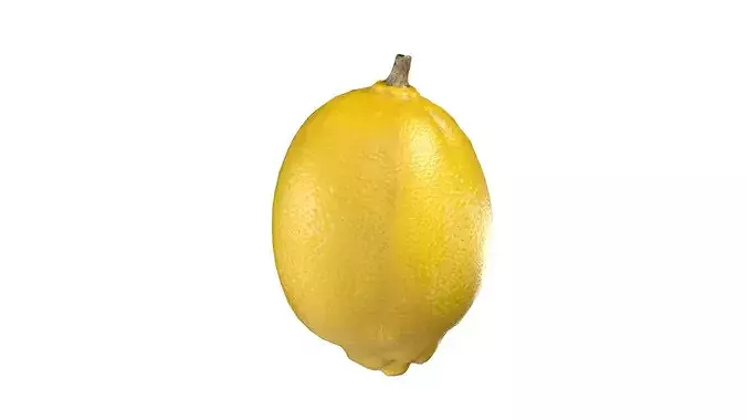 Lemon Fruit Low-poly 3D model 5