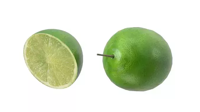Lime Fruit Low-poly 3D model 5