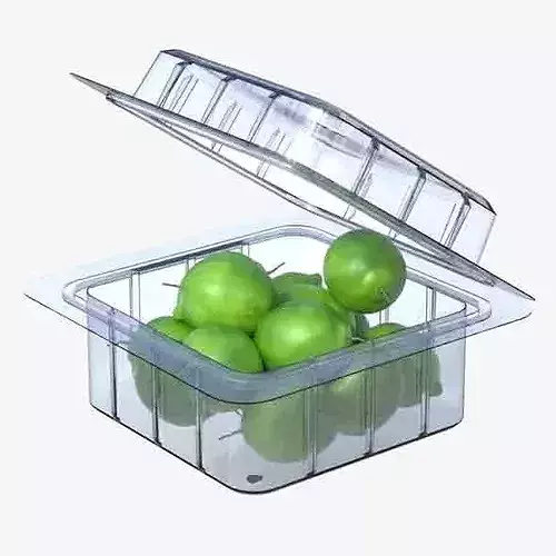 Lime Fruit Box Plastic Transparent Low-poly 3D model 6