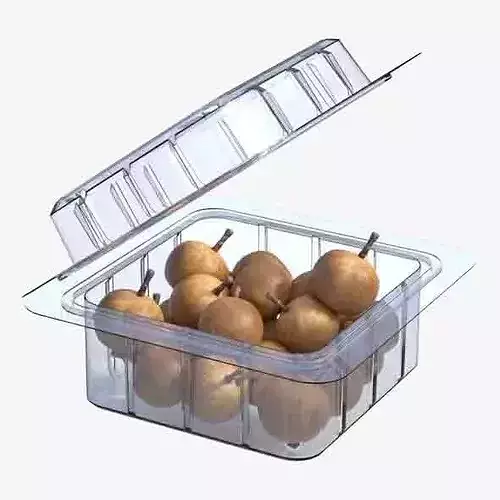 Longan Fruit Box Plastic Transparent Low-poly 3D model 6