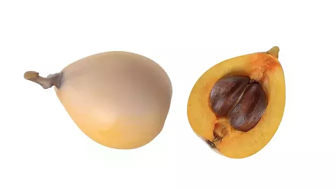 Loquat Fruit Low-poly 3D model 3