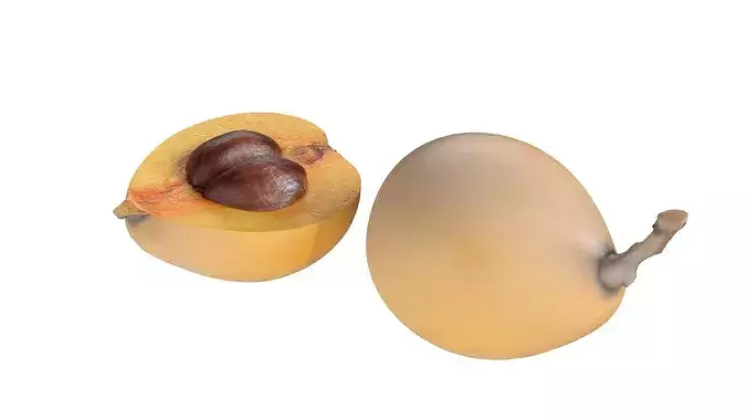 Loquat Fruit Low-poly 3D model 5