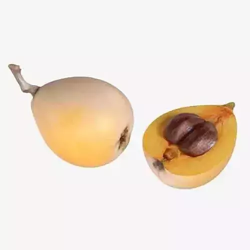 Loquat Fruit Low-poly 3D model 6