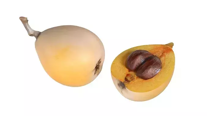 Loquat Fruit Low-poly 3D model