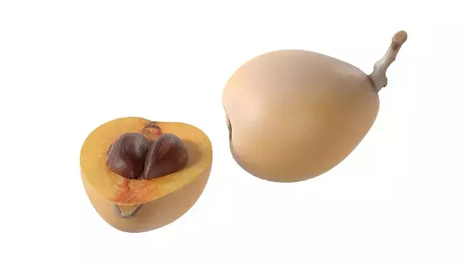 Loquat Fruit Low-poly 3D model 4