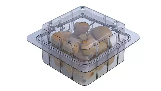 Loquat Fruit Box Plastic Transparent Low-poly 3D model 3