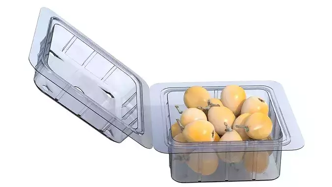 Loquat Fruit Box Plastic Transparent Low-poly 3D model 5