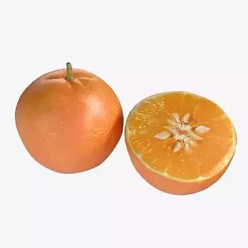 Mandarin   Low-poly 3D model 6