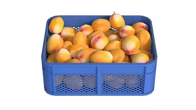 Mango Plastic Crate Low-poly 3D model 3