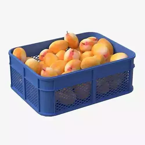 Mango Plastic Crate Low-poly 3D model 6