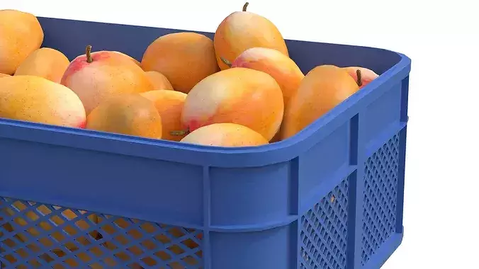Mango Plastic Crate Low-poly 3D model 4