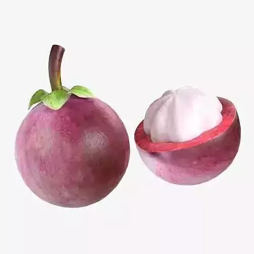 Mangosteen Fruit Low-poly 3D model 6