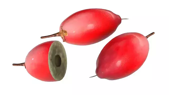 Miracle Fruit Low-poly 3D model
