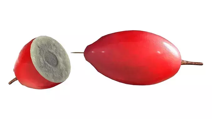 Miracle Fruit Low-poly 3D model 5