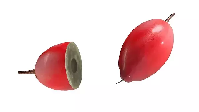 Miracle Fruit Low-poly 3D model 3