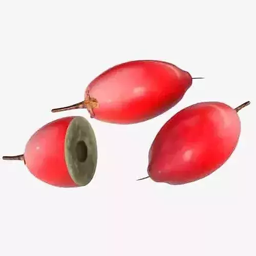 Miracle Fruit Low-poly 3D model 6