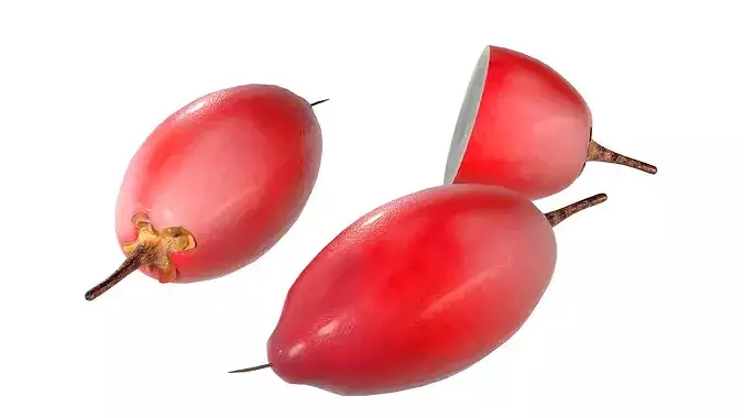 Miracle Fruit Low-poly 3D model 2
