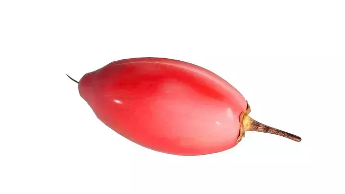 Miracle Fruit Low-poly 3D model 4