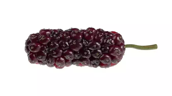 Mulberry Fruit Low-poly 3D model 6