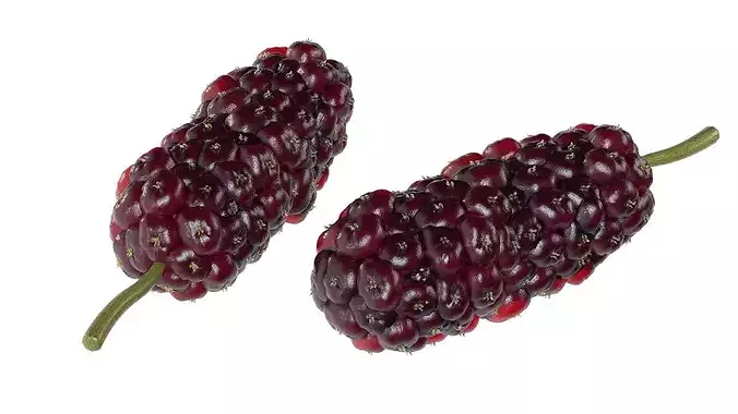 Mulberry Fruit Low-poly 3D model 2