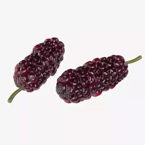 Mulberry Fruit Low-poly 3D model 7