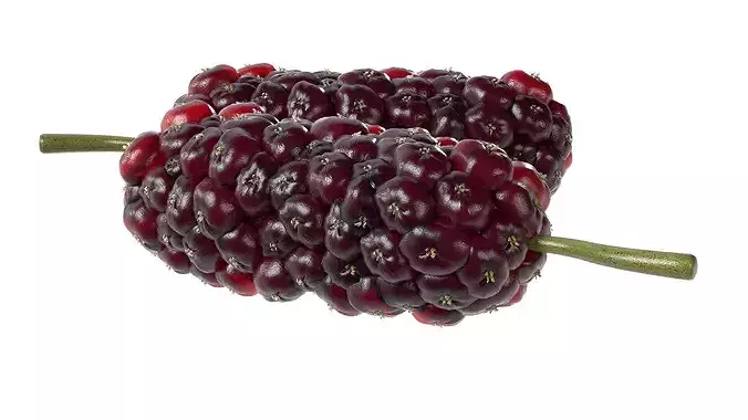 Mulberry Fruit Low-poly 3D model 3