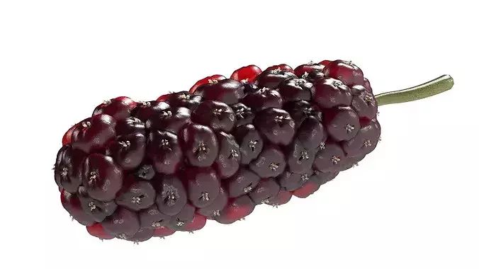 Mulberry Fruit Low-poly 3D model 5