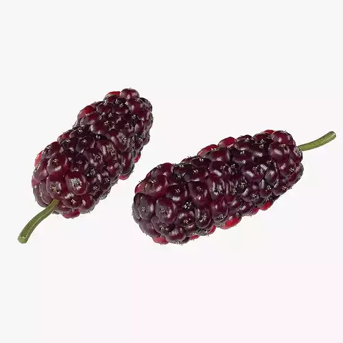 Mulberry Fruit Low-poly 3D model