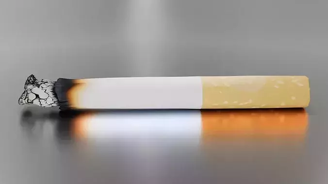 Smoke Low-poly 3D model 5