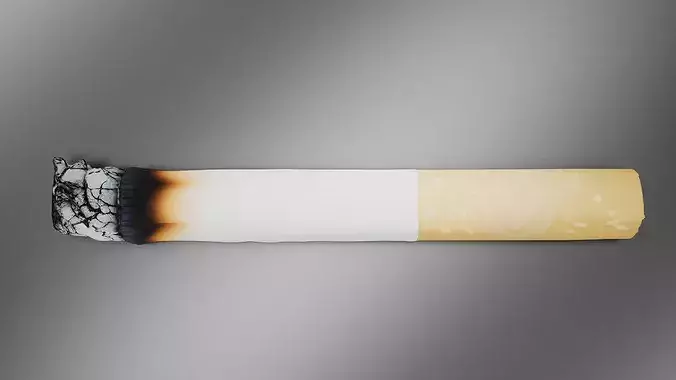 Smoke Low-poly 3D model 6