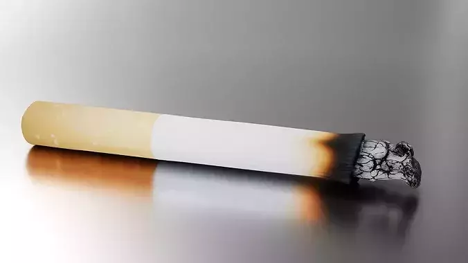 Smoke Low-poly 3D model 4