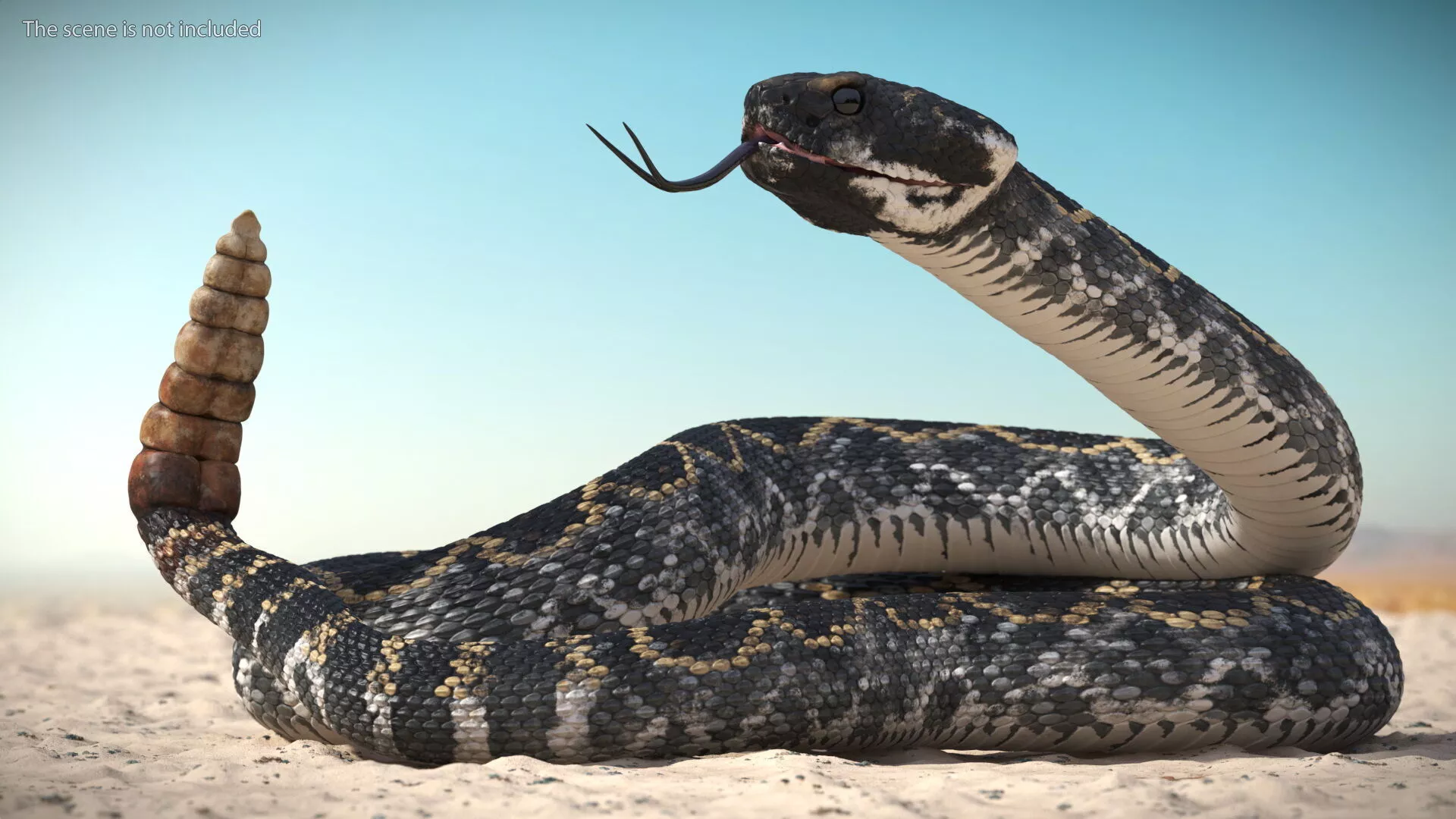 Rattlesnake Self Defends Animated Rigged for Maya 3D model