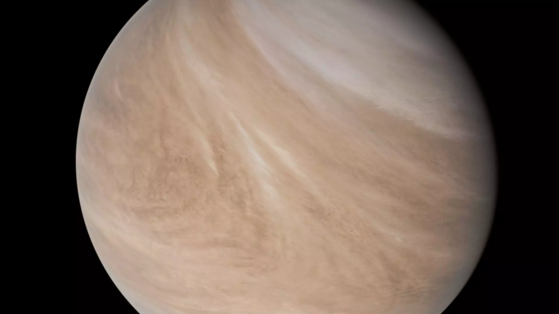 Venus 16K Photorealistic  Low-poly 3D model_16