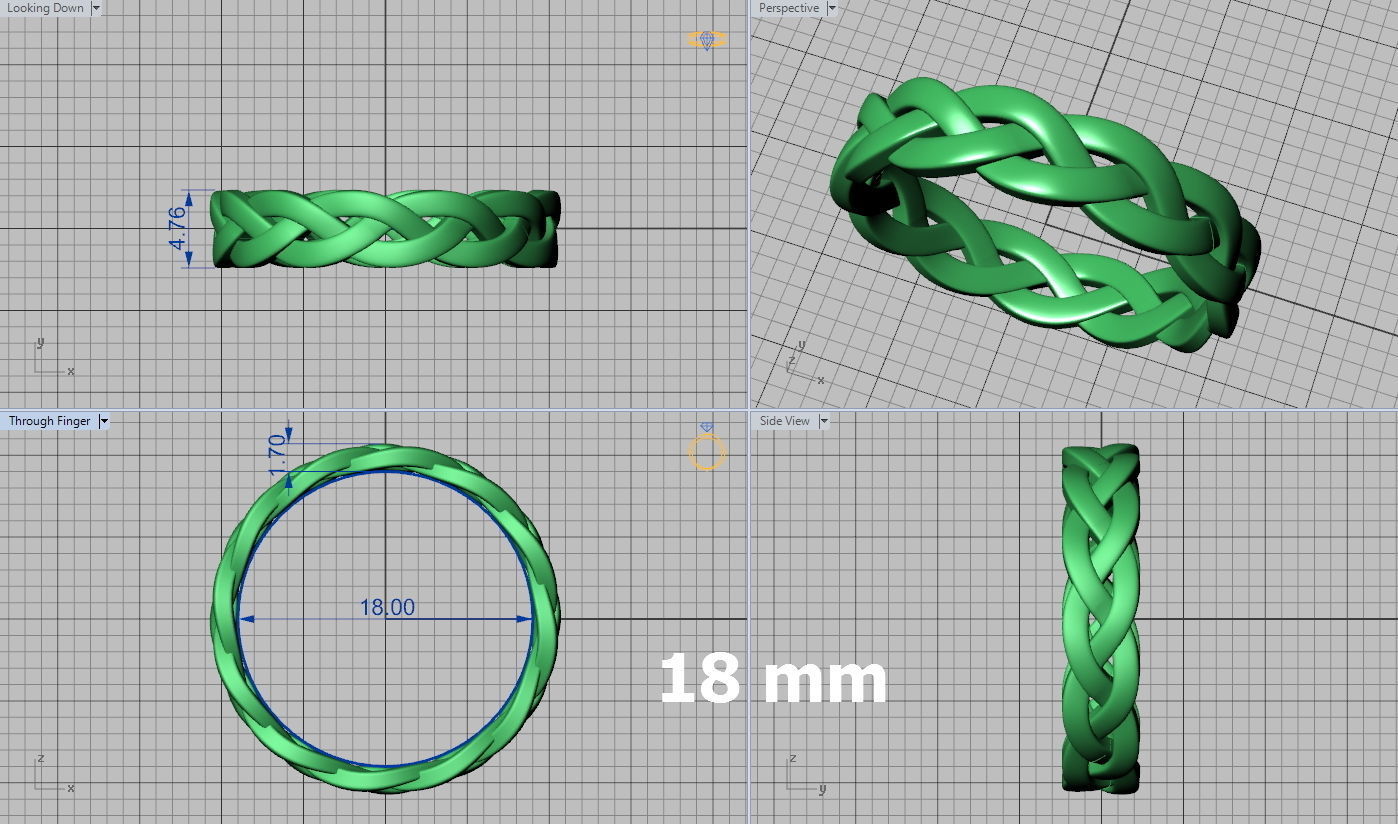 Braided Ring  3D print model_8