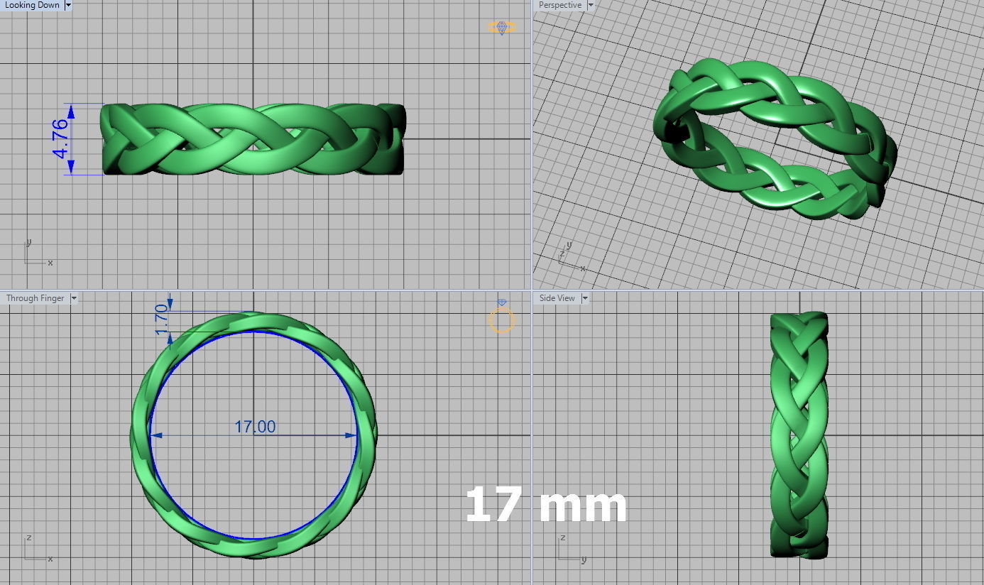 Braided Ring  3D print model_11