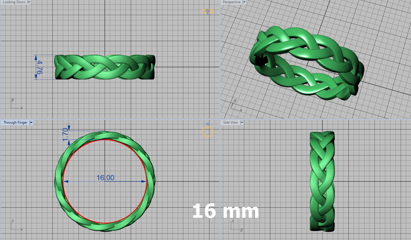 Braided Ring  3D print model_10