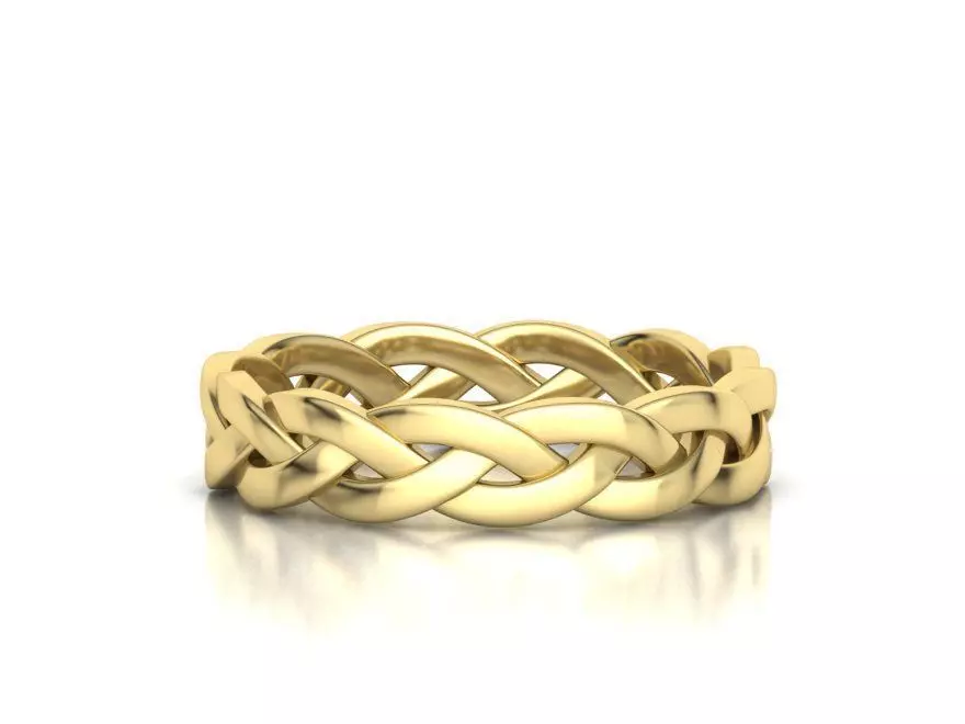 Braided Ring  3D print model_0