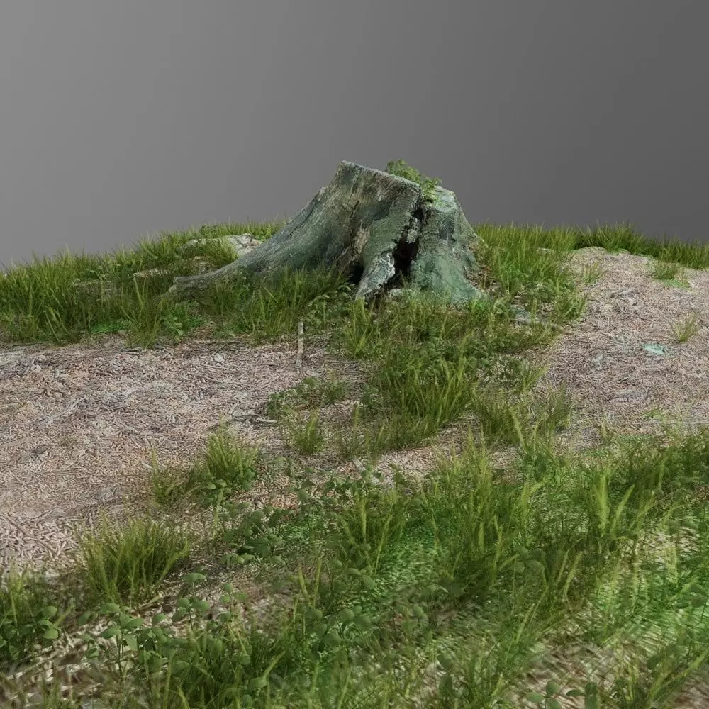 3d scanned tree stump and gras 3 3D model_0