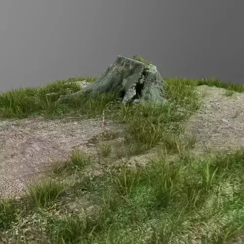 3d scanned tree stump and gras 3 3D model