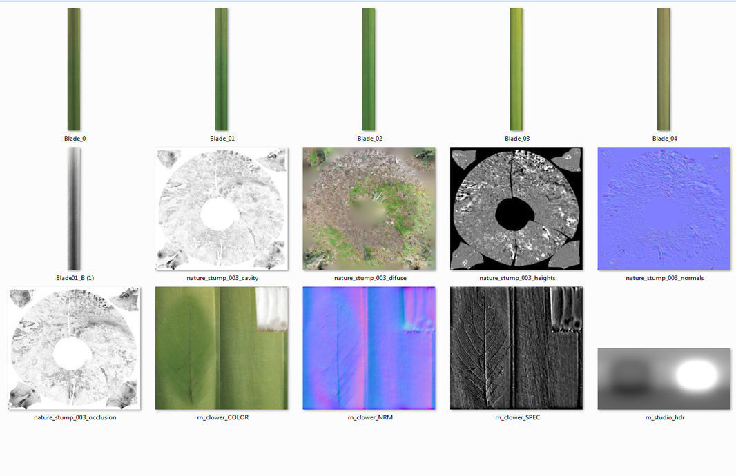 3d scanned tree stump and gras 3 3D model_5